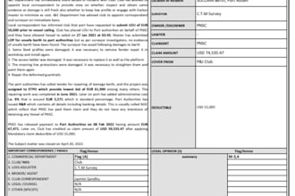 create custom financial reports and profitability analysis