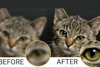 professionally upscale images and enhance them