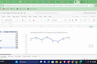 automate excel tasks and build custom spreadsheets