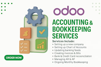 do odoo accounting and bookkeeping, bank reconciliation, and clean up