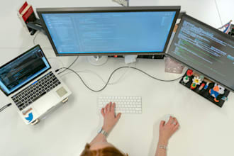 perform functional and manual testing for your website