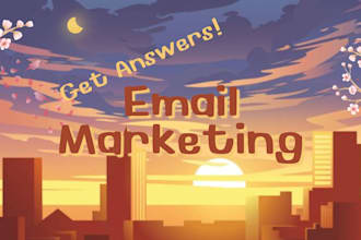 do an email marketing campaign consultation on zoom or google meet