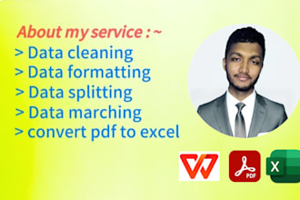 marge data and convert pdf to excel and word data entry facility