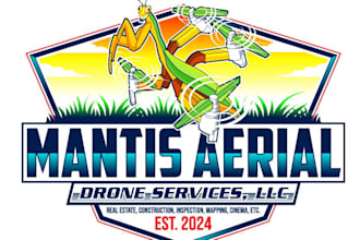 design professional drone logo