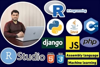 do script java python c cpp sql database coding web development mern stack,r,css