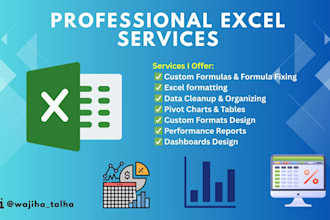 create dashboards, custom excel formulas, reports, and formatting