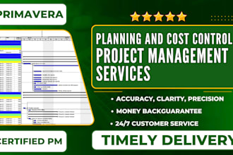 do planning and cost control, project management services