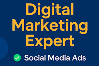 audit your meta ads and deliver a clear strategy report