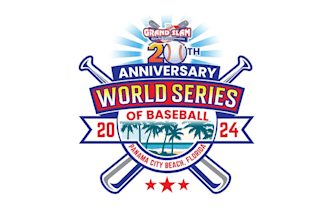 create high quality and beautiful baseball logo design