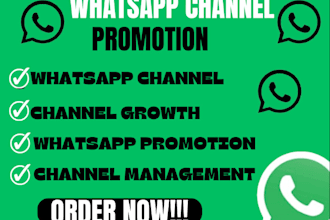 do fast channel promotion, whatsapp bulk member, organic real growth followers