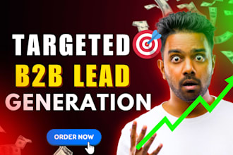 do niche targeted b2b lead generation with web research and email list building