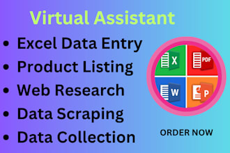 do manual data entry, data collection, and file conversion