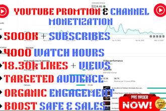 best youtube video promotion, complete channel monetization and USA playlist