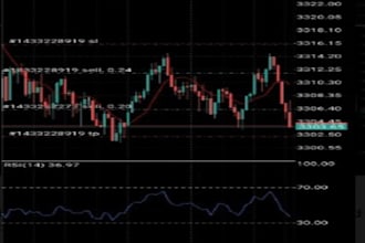 account management, pass future funded evaluation challenge and make profit mt4