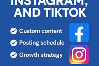 manage and grow your facebook, instagram, and tiktok accounts