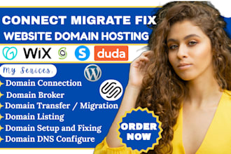 connect setup fix domain dns to systeme io wix hostinger godaddy siteground duda