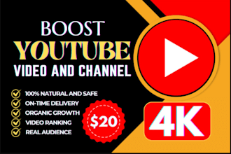 do super fast organic youtube video promotion for organic views and growth