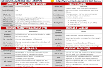 do professional hse documentations