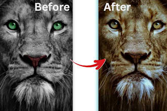 restore, repair, retouch, change color old photos