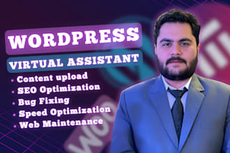 wordpress virtual assistant for SEO, content management and maintenance