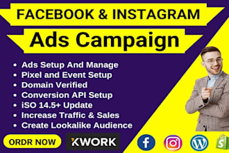 promote and setup facebook ads campaign, fb marketing or meta ad advertising