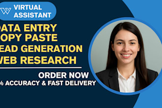 accurate data entry,web research,copy paste and excel data entry job