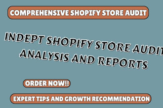 indepth shopify store analysis for better performance and boost shopify sales