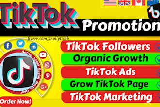 grow and promote your tiktok page organically with tiktok ads