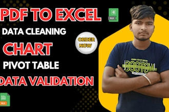 be your excel expert for data cleanup and pdf to excel