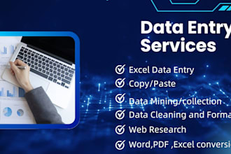 do data entry ,excel formatting, data cleaning, merge,spread sheet ,PDF to excel