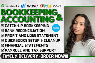 setup, catchup, cleanup bookkeeping, reconciliation quickbooks online xero wave