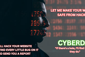 perform a soft penetration test to find basic website vulnerabilities