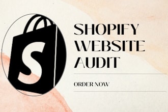 review website, audit your shopify dropshipping store
