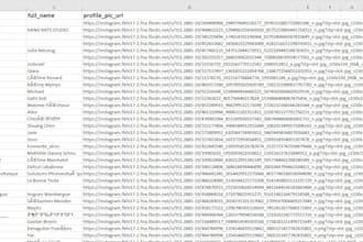 extract instagram followers usernames