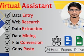 copy paste,web research,data entry,typing and excel convert