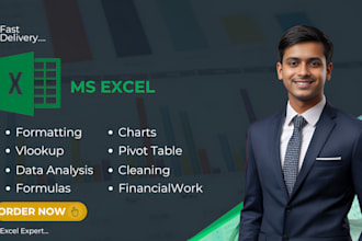 do data cleaning to professional way, formatting, charts, pivot, analysis