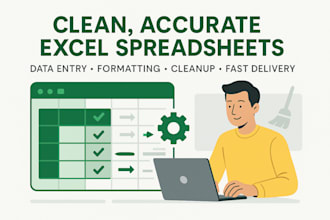 excel data entry, spreadsheet cleanup, and formatting