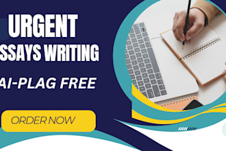 do urgent essay writing and research summary in every subjects
