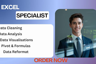 do excel data analysis, data cleaning, excel dashboard, python, power bi rstudio