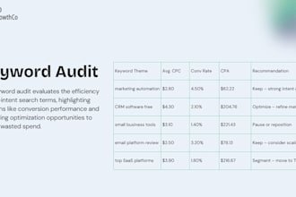 audit your google or meta ads to better performance