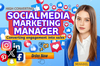 be your social media manager, facebook ads, instagram marketing, tiktok posts