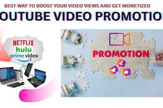 do professional music video distribution and promotion via blogs, email, social