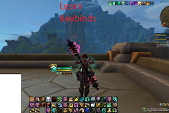 coach you in wow pvp arenas