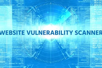 perform a website vulnerability scan and security assessment