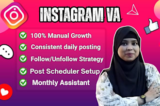 be a instagram VA for manual growth, daily posting or post scheduler