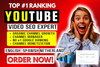 do USA youtube video SEO, english, dutch, spanish top channel ranking manager