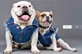 create luxury pet clothing shopify store pet fashion boutique pet apparel store