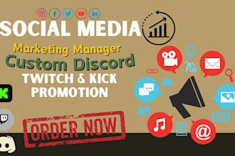 set up custom discord server kick promotion twitch overlay music lyric video
