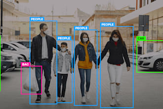 do data, image and video annotation for you