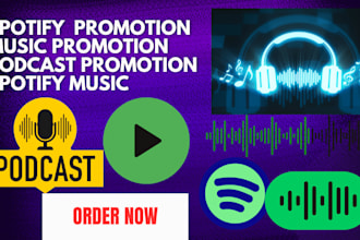 set up effective ads spotity promotion spotify track album